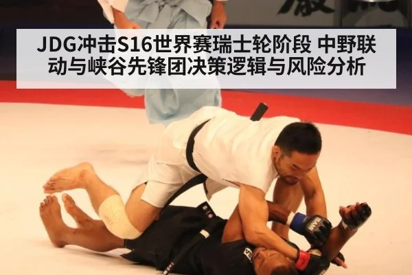 JDG冲击S16世界赛瑞士轮阶段 中野联动与峡谷先锋团决策逻辑与风险分析