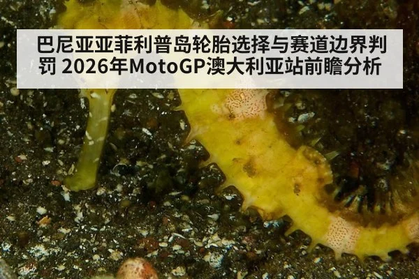 巴尼亚亚菲利普岛轮胎选择与赛道边界判罚 2026年MotoGP澳大利亚站前瞻分析