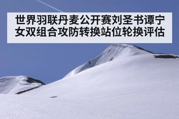 世界羽联丹麦公开赛刘圣书谭宁女双组合攻防转换站位轮换评估